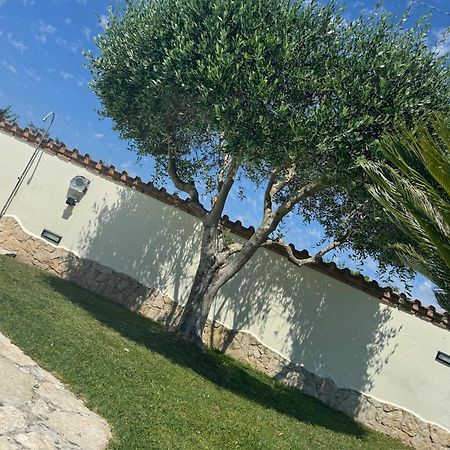 Villa Gold House Luxury Anzio Exterior foto