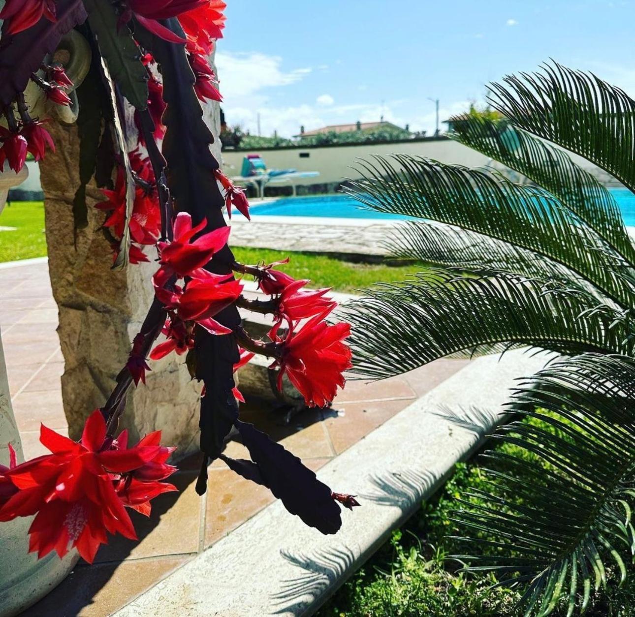 Villa Gold House Luxury Anzio Exterior foto