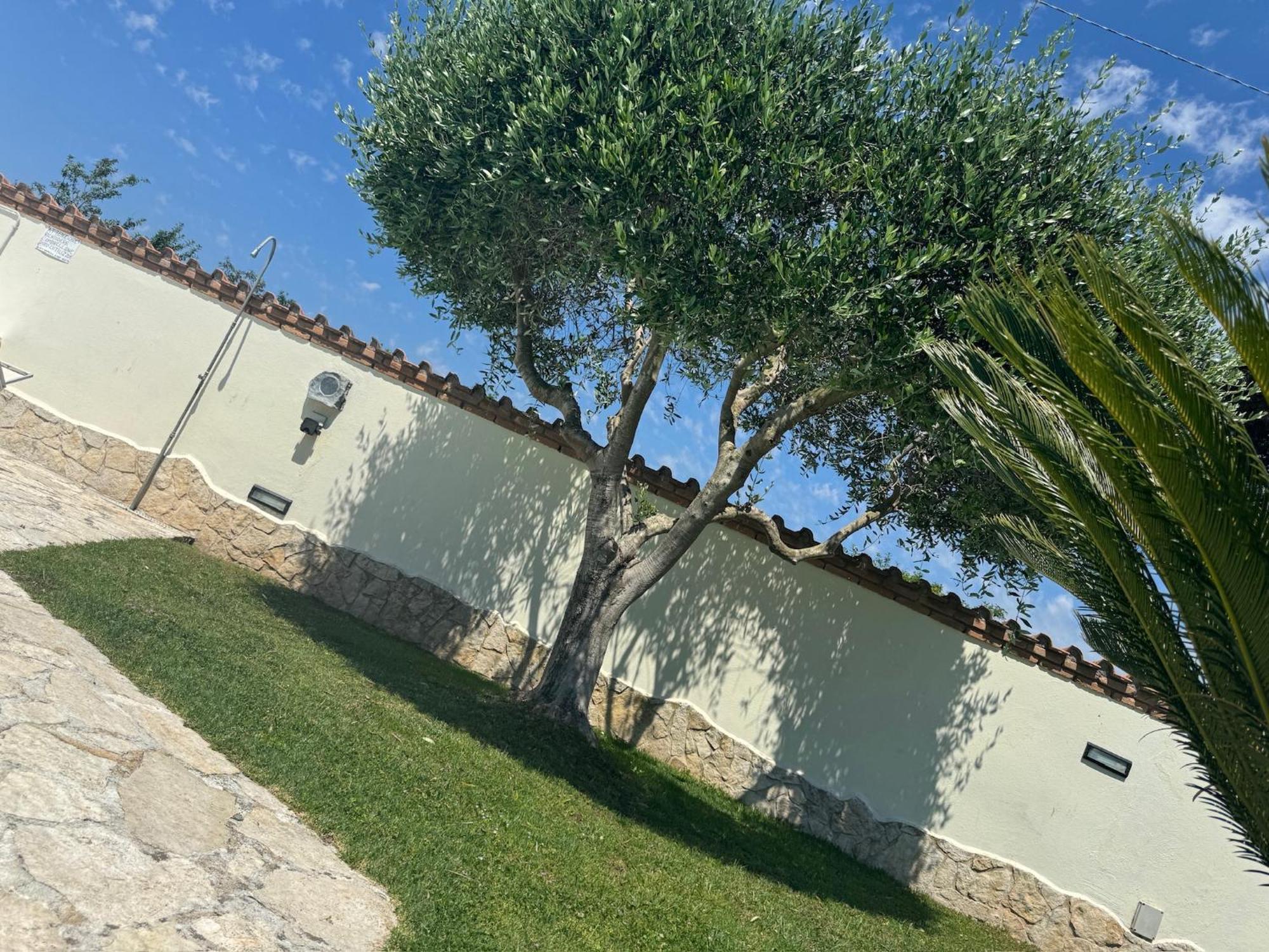 Villa Gold House Luxury Anzio Exterior foto
